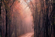 包含莱比锡关键时刻官宣签约，志在西甲名次提升，话题不断，控场能力受关注的词条